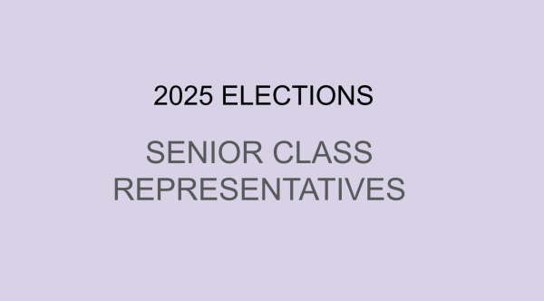 Senior Class Representative Candidates